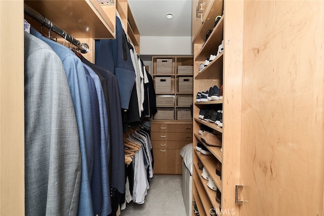 spacious closet with carpet floors