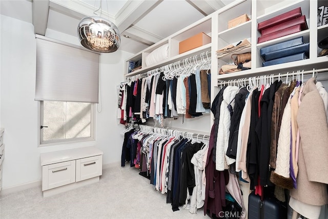 walk in closet with carpet flooring