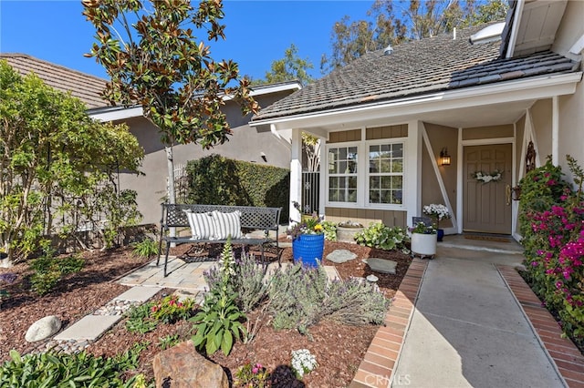 view of exterior entry featuring stucco siding