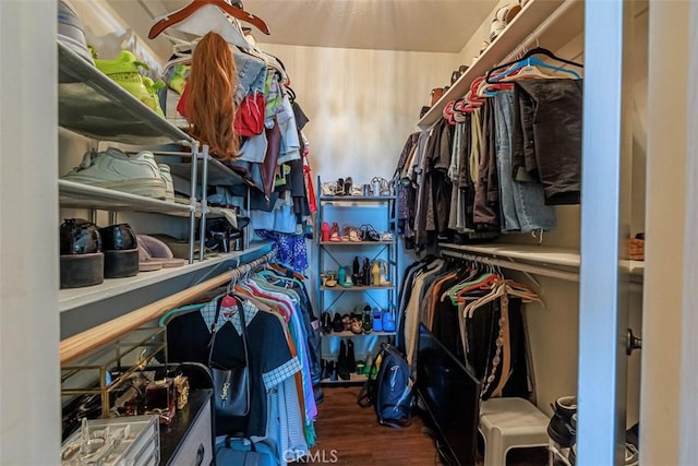 walk in closet featuring wood finished floors