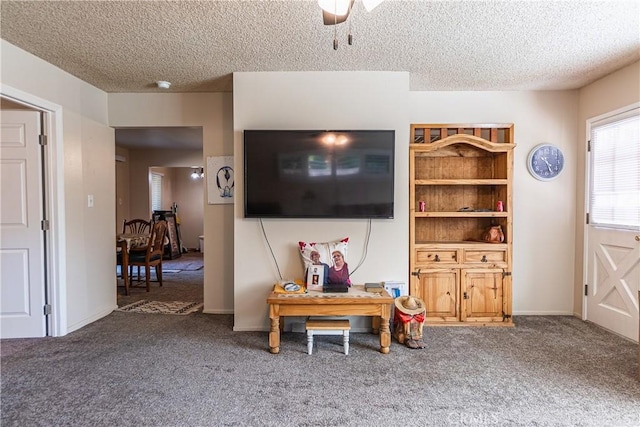 living room featuring a textured ceiling, carpet, and baseboards