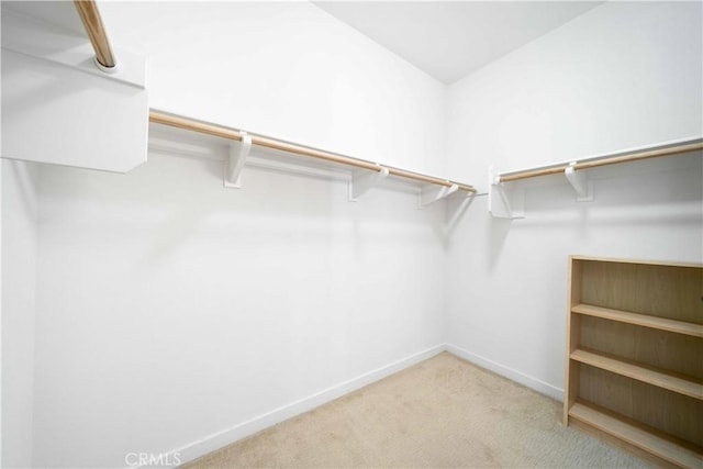 walk in closet with carpet flooring