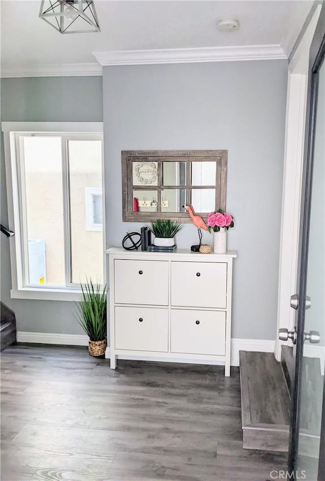 interior space featuring ornamental molding, baseboards, and wood finished floors