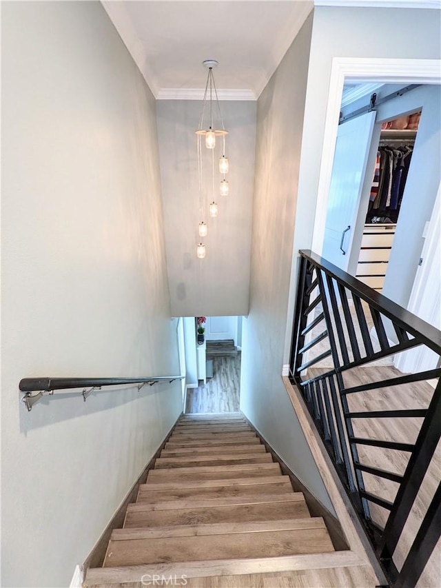 stairs featuring wood finished floors and crown molding