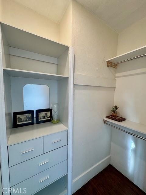 spacious closet featuring dark wood-style flooring