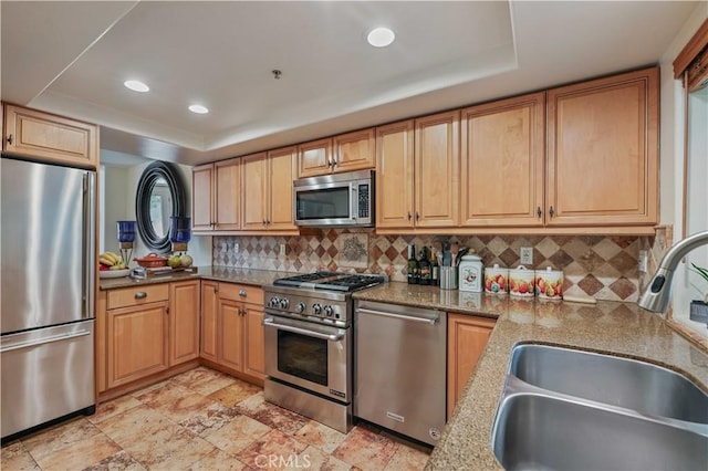 kitchen with a tray ceiling, decorative backsplash, stainless steel appliances, and a sink