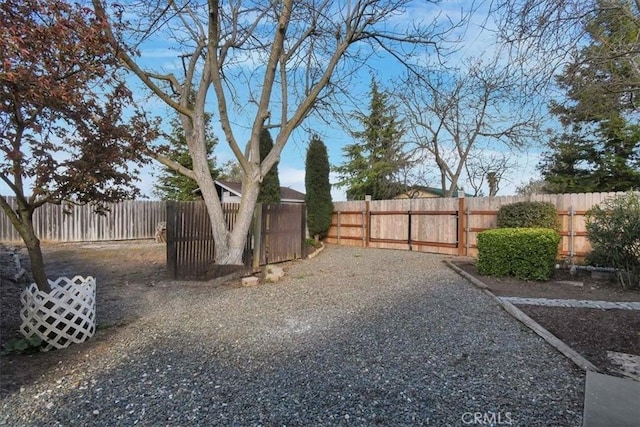 view of yard featuring fence private yard and a gate