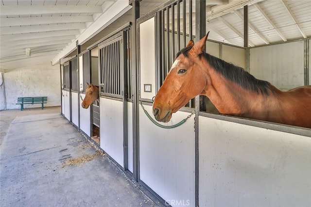 view of horse barn