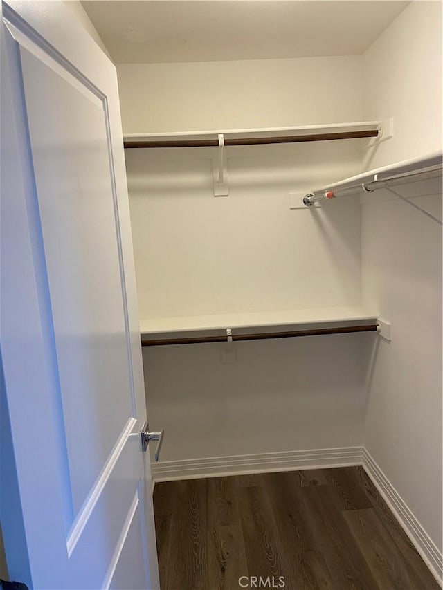 walk in closet featuring wood finished floors