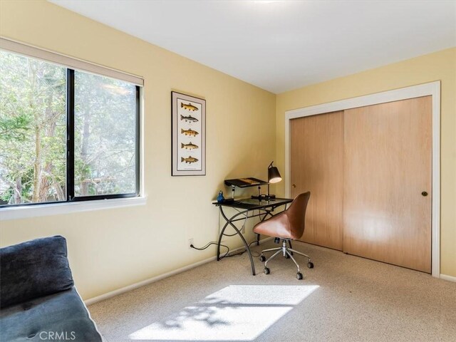 office featuring carpet flooring and baseboards