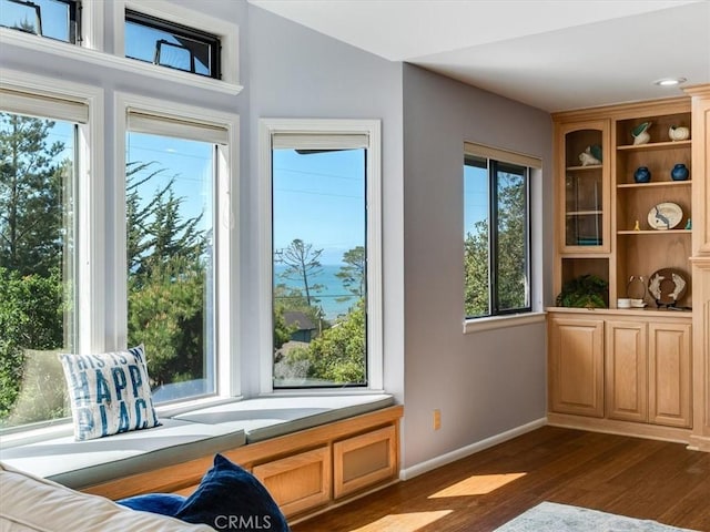 interior space with baseboards and dark wood finished floors