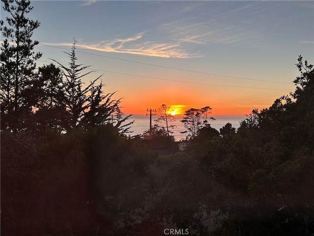 view of nature at dusk