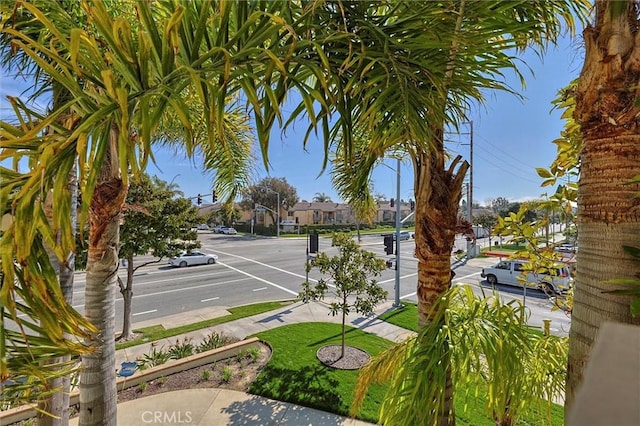 view of road with street lighting, curbs, and sidewalks