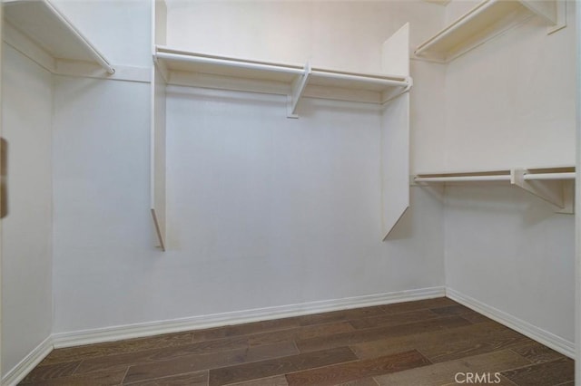 spacious closet with dark wood-type flooring