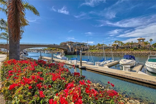 dock area featuring a water view