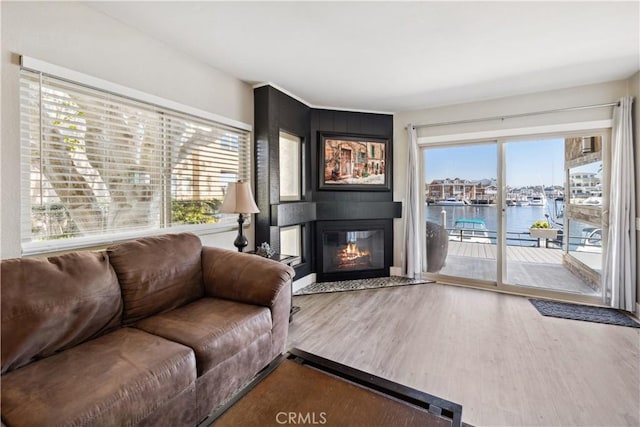 living room featuring a glass covered fireplace, a water view, and wood finished floors