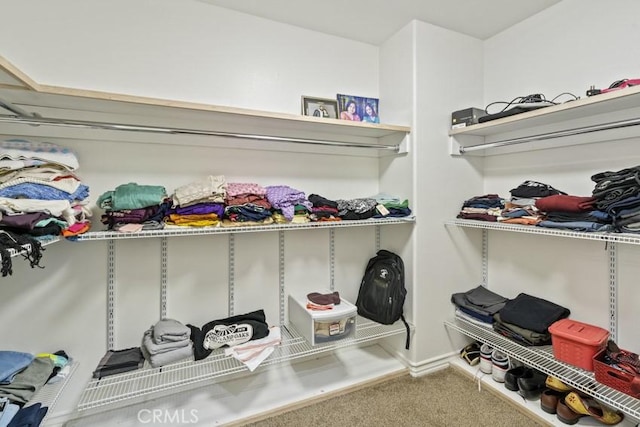 walk in closet with carpet floors