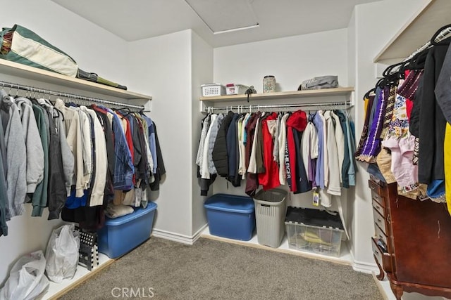 walk in closet with carpet and attic access