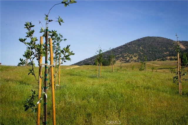 5015 Macready Way, Mariposa, CA 95338 - photo 19