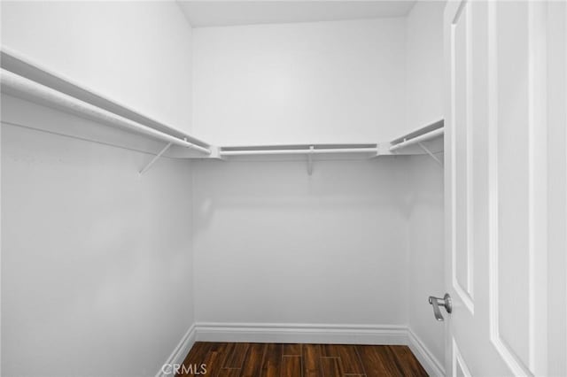 spacious closet with dark wood-type flooring