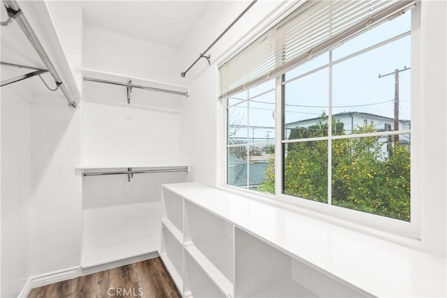 spacious closet featuring dark wood-type flooring