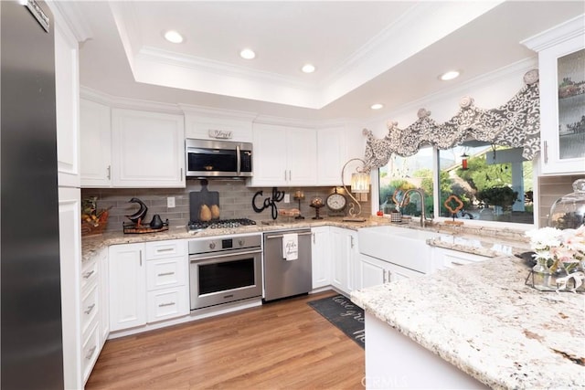 kitchen featuring light wood finished floors, white cabinets, a tray ceiling, stainless steel appliances, and a sink