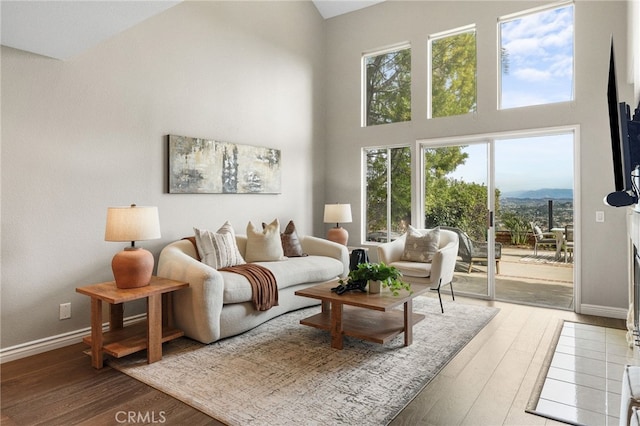 29416 Port Royal Way, Laguna Niguel, CA 92677 - living area featuring high vaulted ceiling, wood finished floors, and baseboards