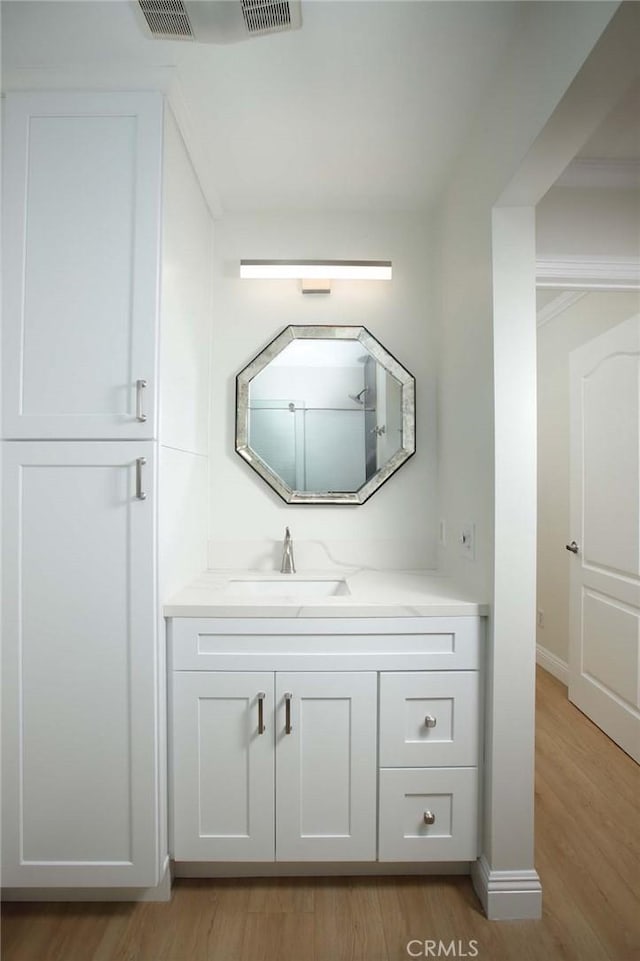 bathroom with wood finished floors, vanity, baseboards, and visible vents