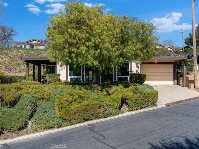 view of property hidden behind natural elements featuring a garage and concrete driveway