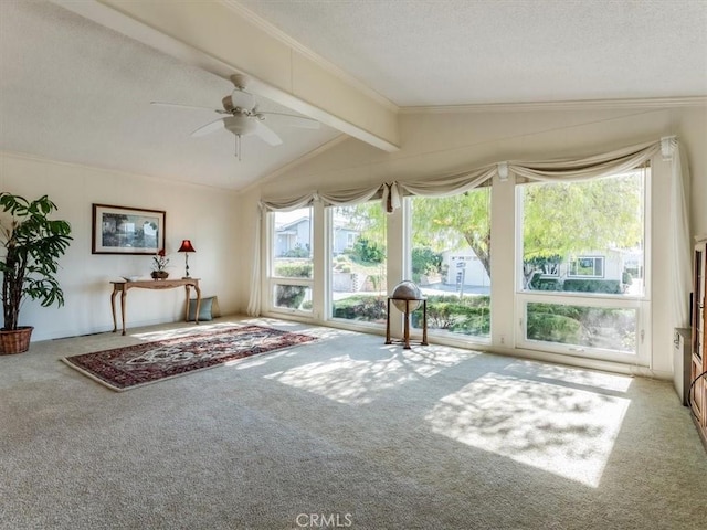 unfurnished sunroom with vaulted ceiling with beams, plenty of natural light, and a ceiling fan