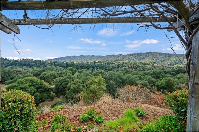 property view of mountains featuring a wooded view