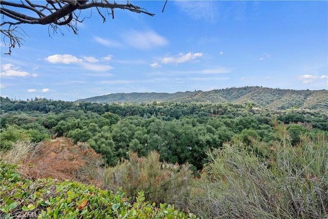 property view of mountains with a wooded view