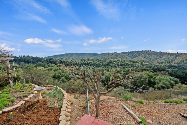 mountain view with a forest view