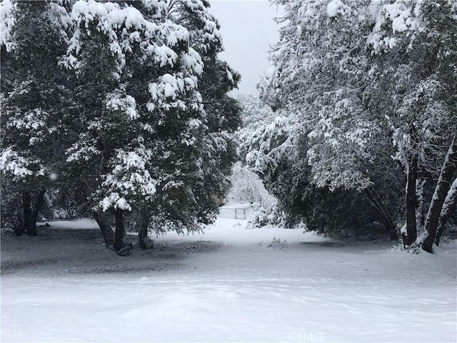 view of snowy yard