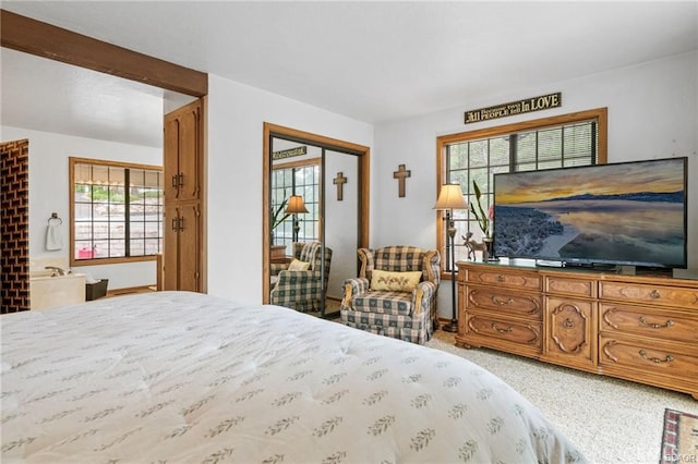 carpeted bedroom with multiple windows