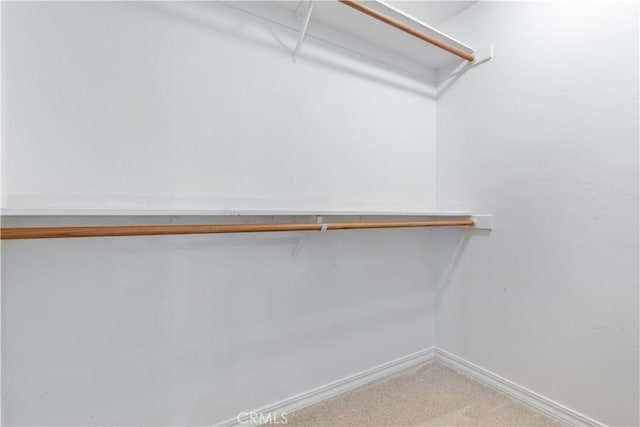 walk in closet with carpet floors