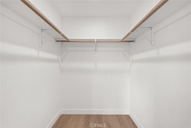 walk in closet with light wood-type flooring