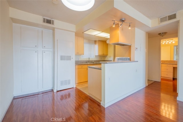 kitchen featuring visible vents and light wood-type flooring