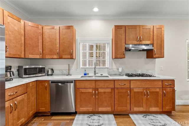 kitchen featuring a sink, appliances with stainless steel finishes, light countertops, and under cabinet range hood