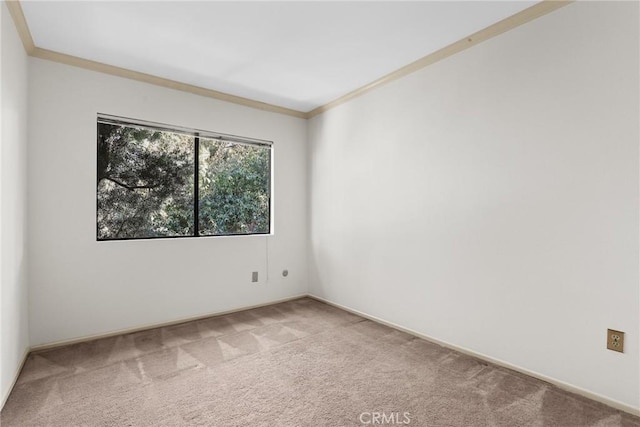 carpeted empty room featuring ornamental molding