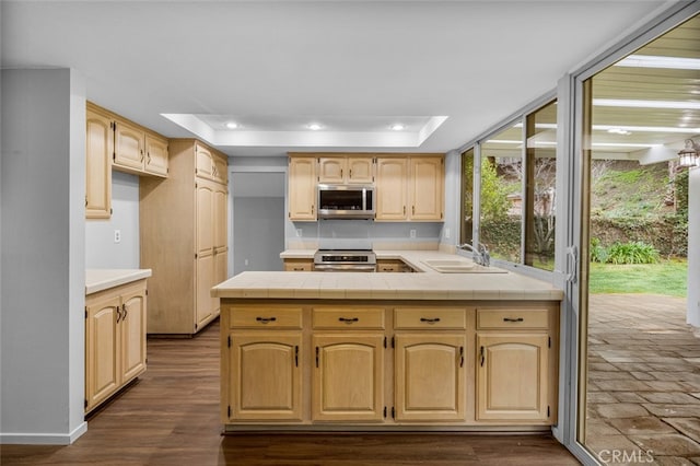 kitchen with a raised ceiling, a peninsula, appliances with stainless steel finishes, and a sink