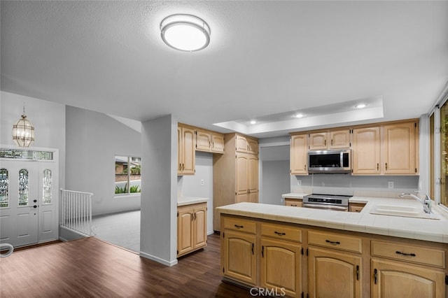 kitchen with a sink, dark wood finished floors, stainless steel appliances, a peninsula, and a raised ceiling