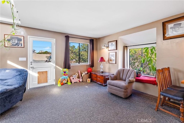 game room featuring carpet floors