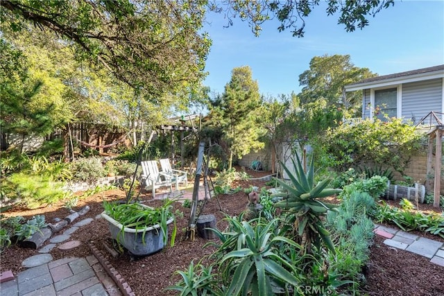 view of yard with a patio and a fenced backyard