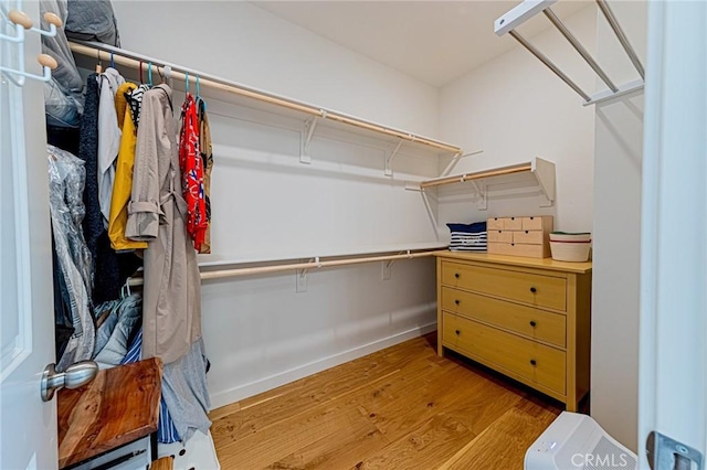 spacious closet featuring wood finished floors