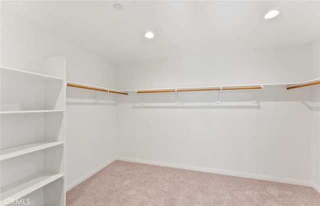 walk in closet with carpet flooring