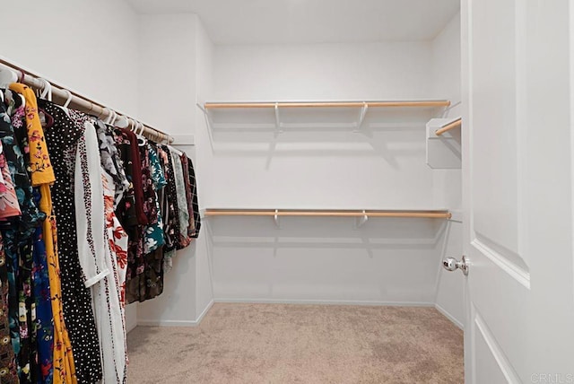 1510 Wildgrove Way, Vista, CA 92081 - walk in closet featuring carpet