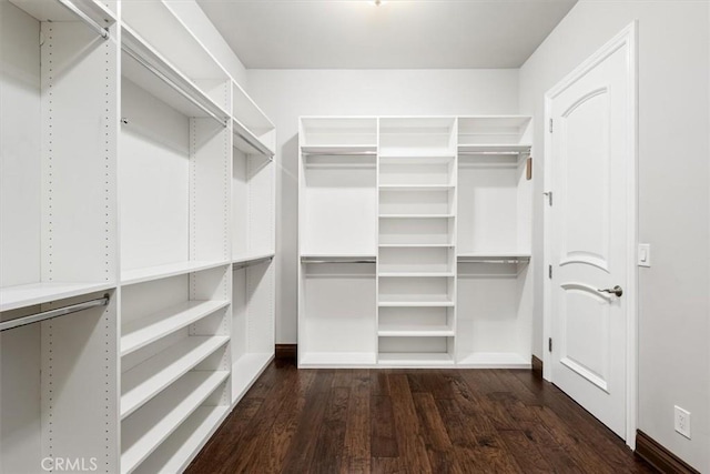 walk in closet featuring wood finished floors