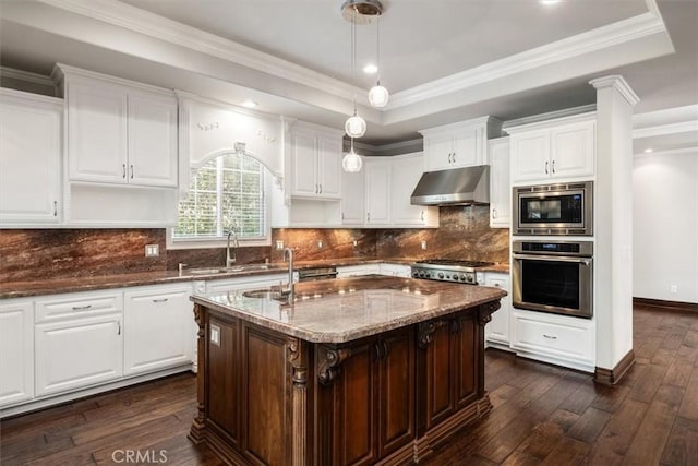 kitchen featuring a tray ceiling, stainless steel appliances, dark wood-type flooring, a sink, and under cabinet range hood