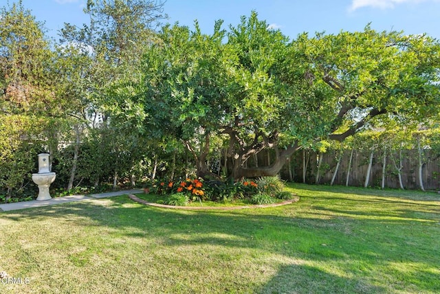 view of yard with fence